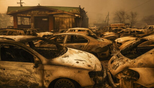 epa11813667 Burned cars in a lot destroyed by the Eaton wildfire in Altadena, California, USA, 08 January 2025. According to data from California Department of Forestry and Fire Protection, CAL FIRE, multiple wildfires are burning across thousands of acres and forced tens of thousands of evacuations in the Los Angeles area.  EPA/CAROLINE BREHMAN